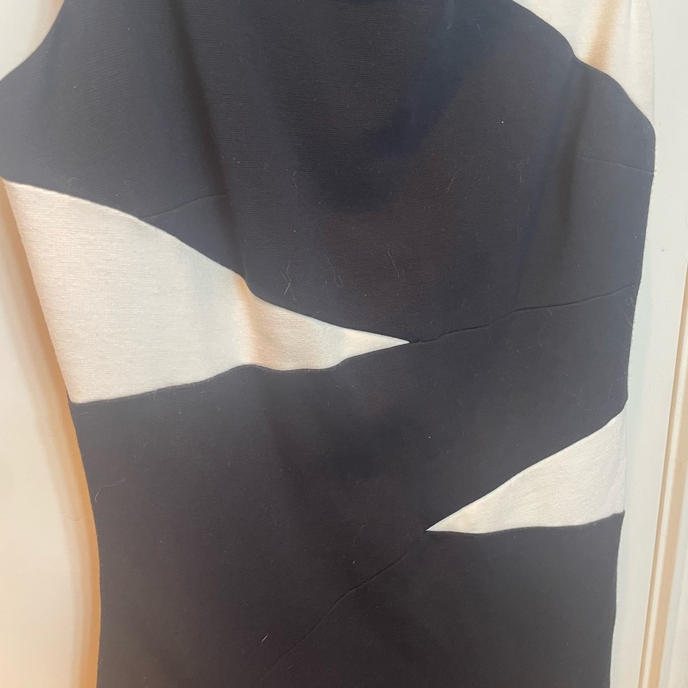 Cache Black and White Sleeveless Dress - Picture 6 of 6
